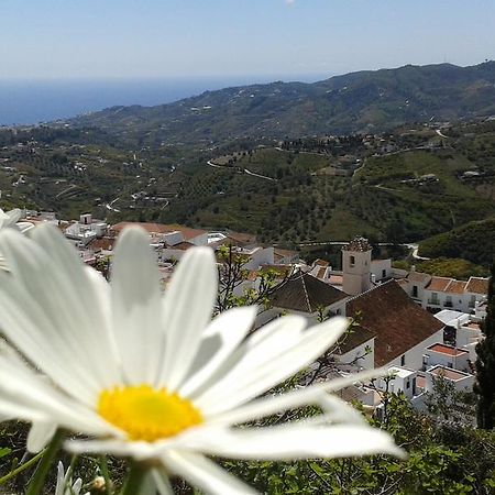 Вилла Casa Ana, Fantasticas Vistas A Frigiliana, El Mar Y La Montana Экстерьер фото