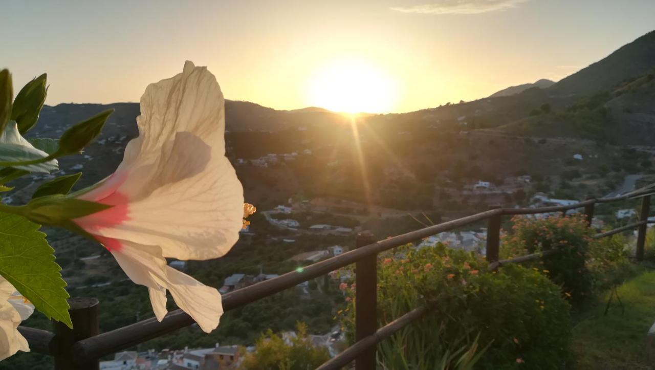 Вилла Casa Ana, Fantasticas Vistas A Frigiliana, El Mar Y La Montana Экстерьер фото