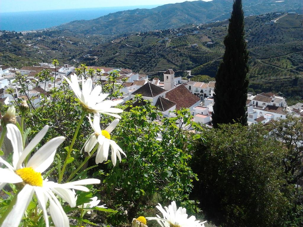 Вилла Casa Ana, Fantasticas Vistas A Frigiliana, El Mar Y La Montana Номер фото