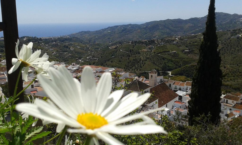 Вилла Casa Ana, Fantasticas Vistas A Frigiliana, El Mar Y La Montana Экстерьер фото